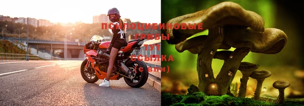 каннабис Алексеевка