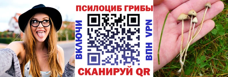 Галлюциногенные грибы прущие грибы Михайловск